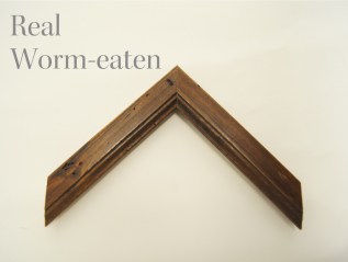 本物の虫食い