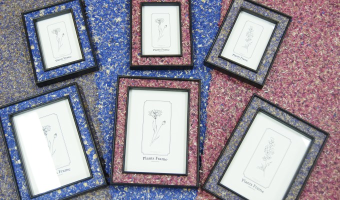 Plants Frame